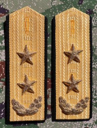 cgsb8s.jpg (3768 bytes)